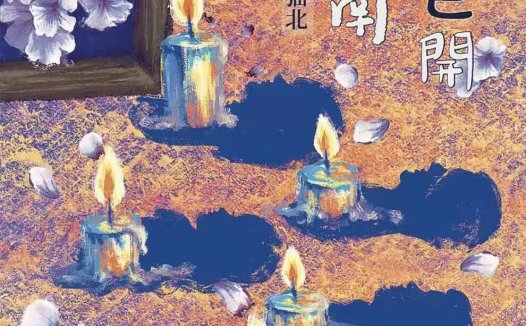 城南花已开剧本杀—合格线左右的城限情感沉浸本