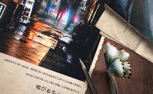 蝴蝶沉幕时—一部很吃dm的本