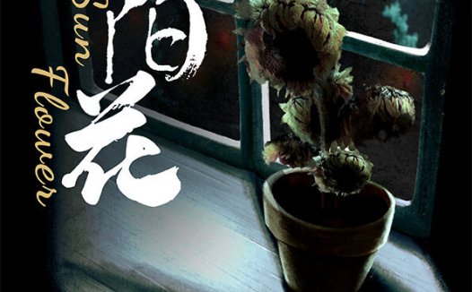 向阳花剧本杀—一起来感受下不一样的灰烬吧