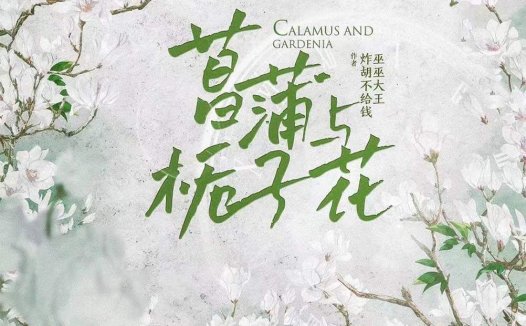 菖蒲与栀子花剧本杀—高质量的宝藏本