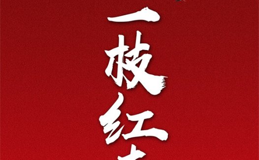 一枝红杏剧本杀—一部普通的欢乐机制阵营本