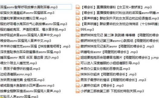 隔壁班的喵会长asmr助眠音声音频汇总