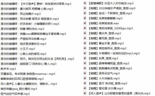 B站不要吃咖喱舰长ASMR中文音声音频汇总